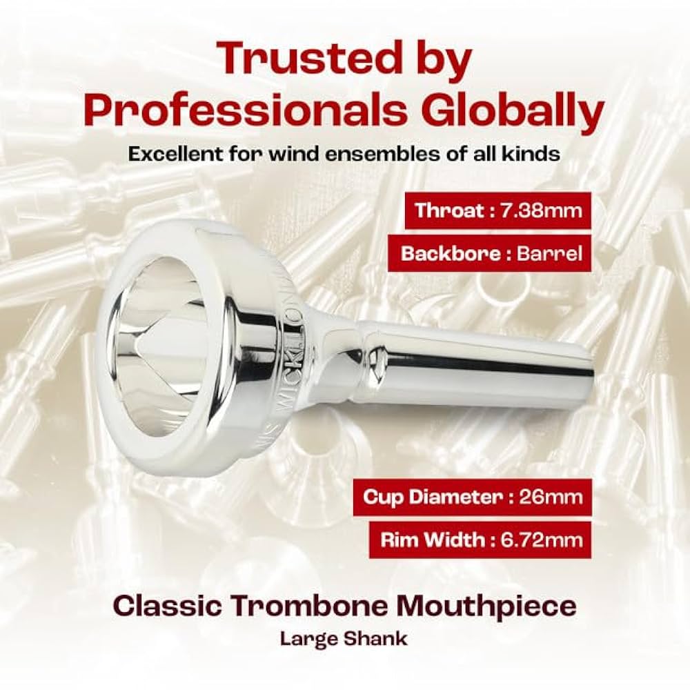Amazon.com: Denis Wick Classic Trombone Mouthpiece Silver